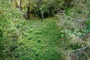 3rd image of 585 Mountain Rd