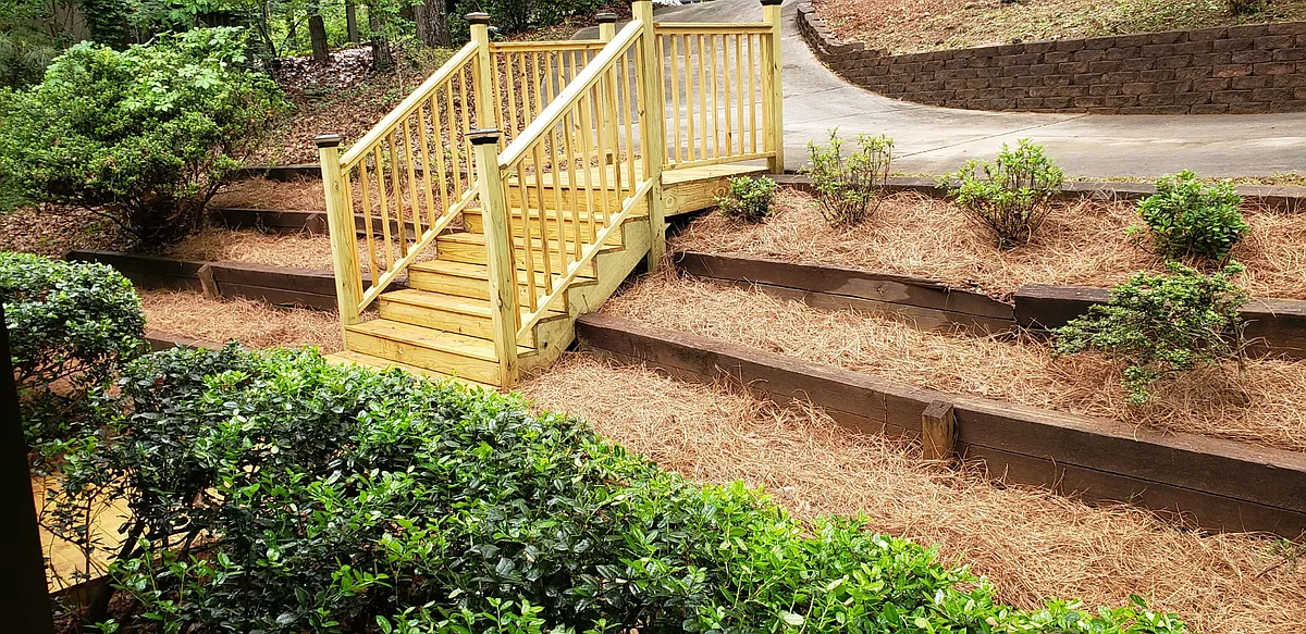 The new azaleas poking out of the pine straw will take time to mature, but they will blossom red and white (or so the landscaper says!). - 708 Wilshire Pl