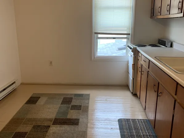 11 Warner St, Plains, PA 18705