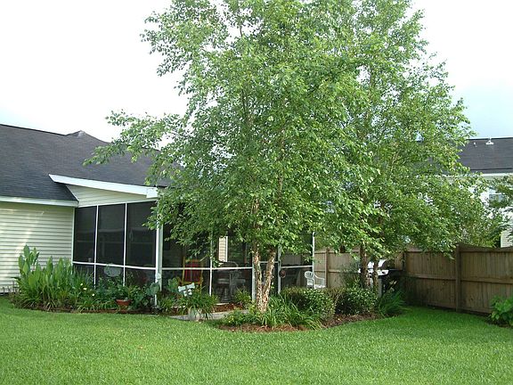 Shaded Screened Porch