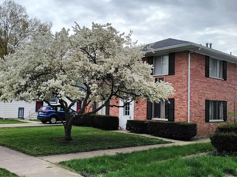 3911 Fer Don Rd #4 — Photo 1