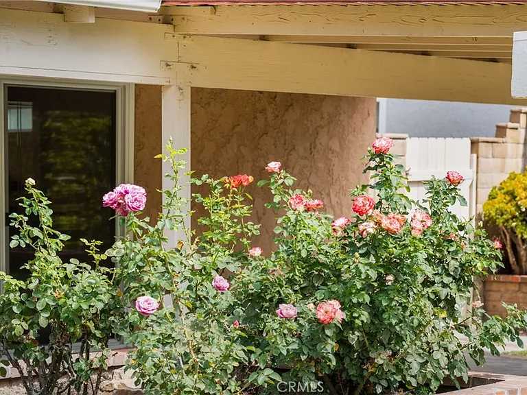 24382 Macedo Dr — Photo 34