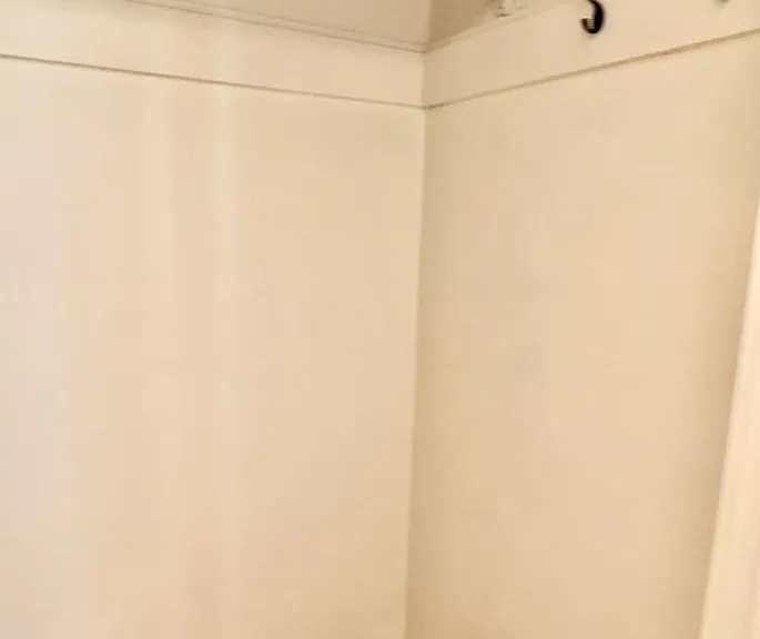 2020 Green St — Photo 5