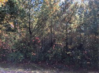 119 Pinnacle Peak Ln, Flat Rock, NC 28731