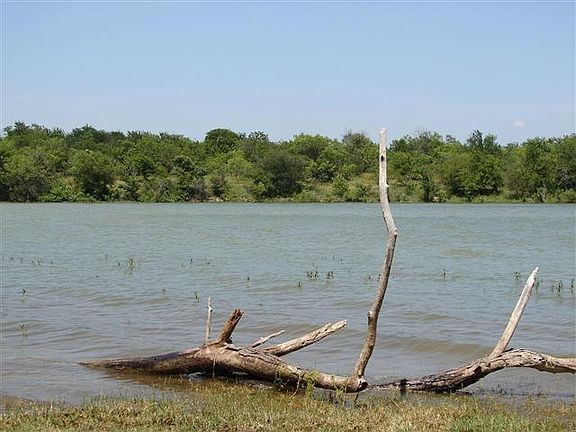 4th image of 5113 Bow Lake Trl