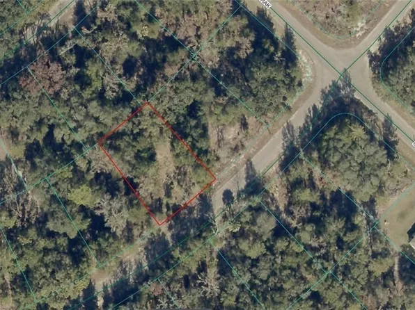 9038-1252-28 Guava Trail Way, Ocklawaha, FL 32179