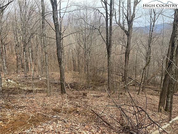 2nd image of Lot 22 Jewel Weed Trail