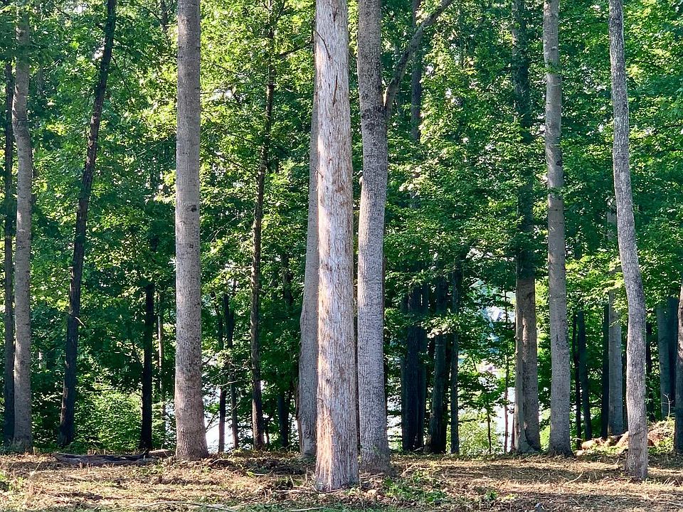 1st image of 18 Shady Oaks Ln