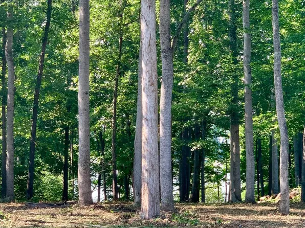 18 Shady Oaks Ln, Louisa, VA 23093