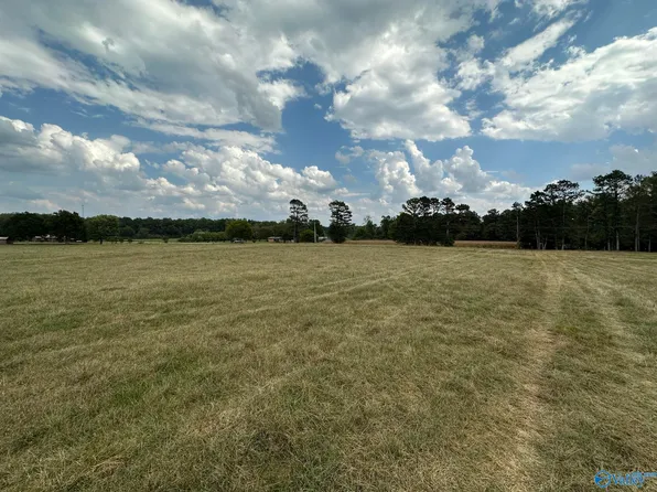 29 Acres Hwy #71, Dutton, AL 35744