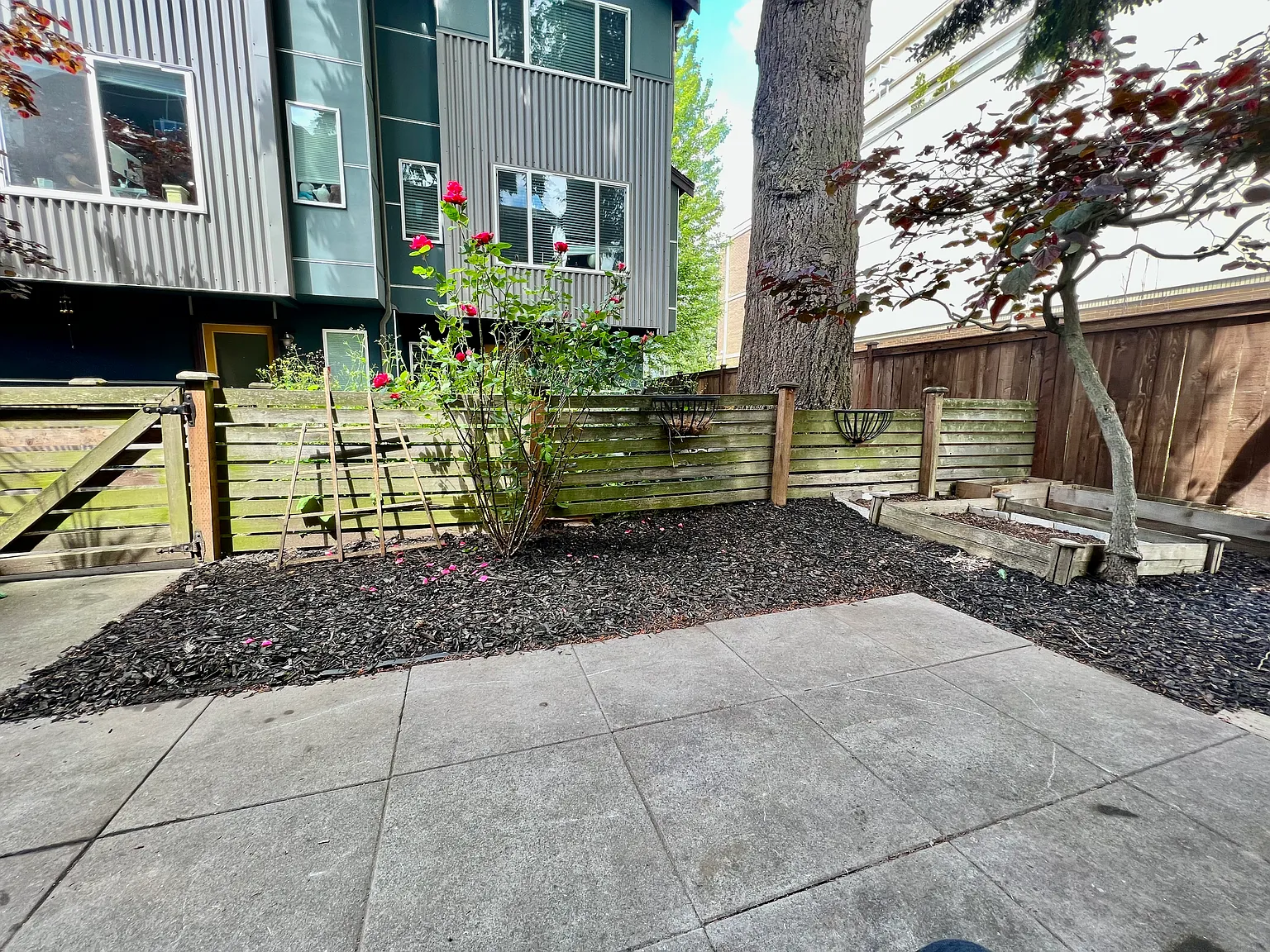 3 bed, 1310 sqft, $2,800 — Photo 4