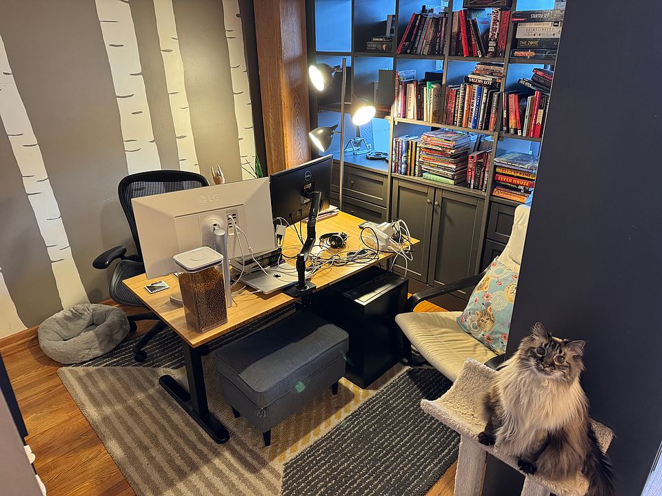 The office, along with a needy cat