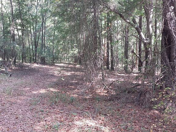2nd image of 381 County Road 89