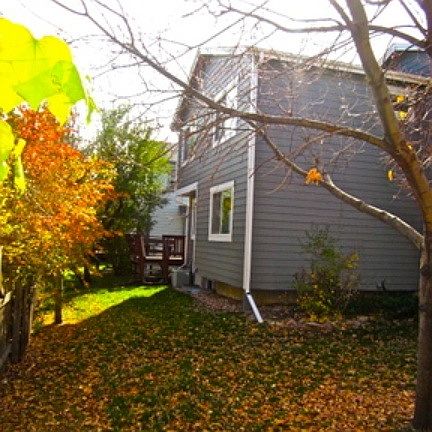 Fenced back yard
