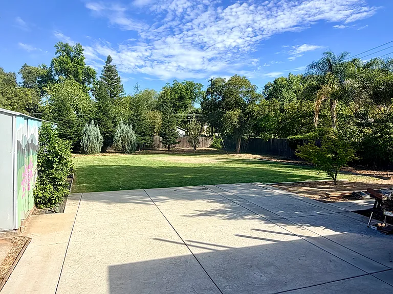 3590 Buena Vista Dr — Photo 15