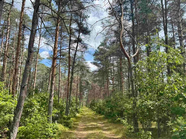 4105 N Strawberry Rd, Harrison, MI 48625