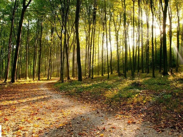 5408 W Fawn Ter, Farwell, MI 48622