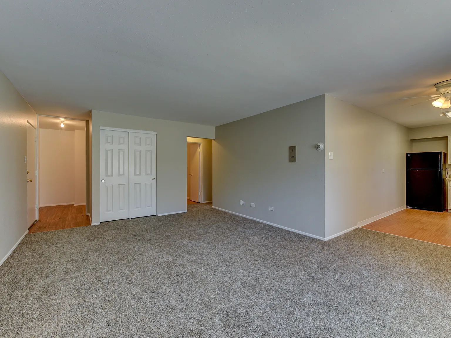 Fitz Apartments — Photo 4