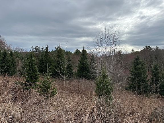 3rd image of 81 Town Farm Rd