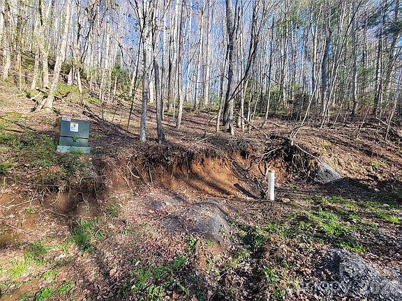 4th image of 111 Digging Seng Trl #138