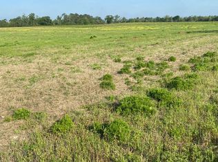 64 Gooseneck Rd, Hawkinsville, GA 31036