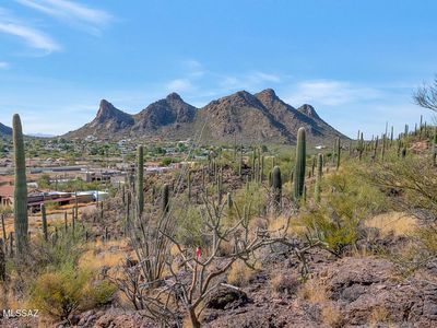 4896 S Cactus Wren Ave, Tucson, AZ, 85746