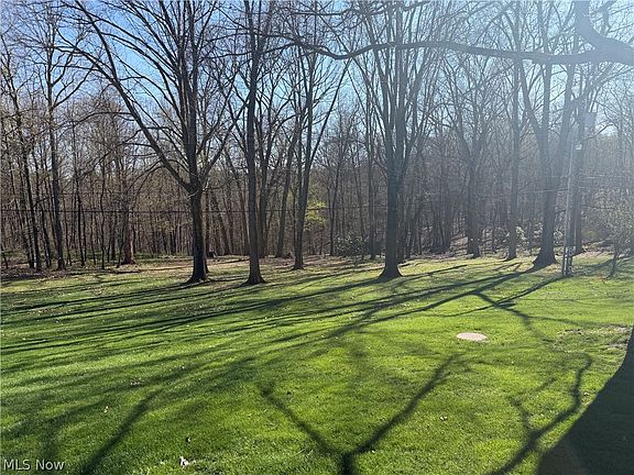 4th image of 1135 Forsyth Pl