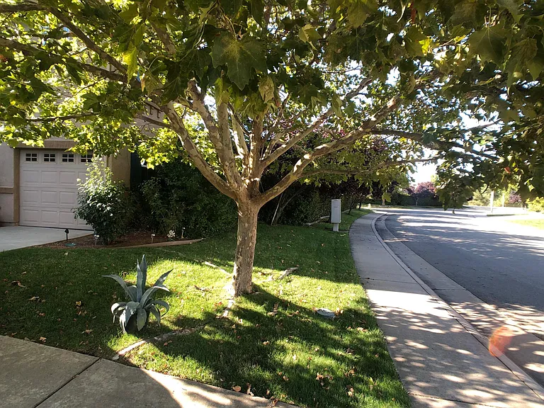 554 Fielding Ln #B — Photo 8