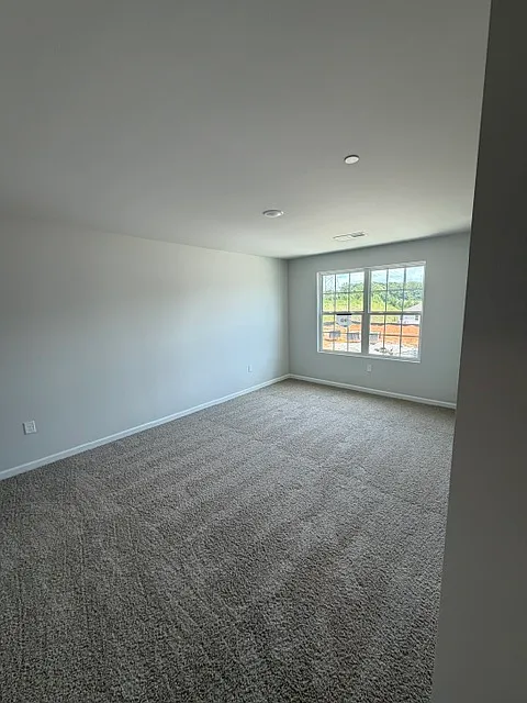 282 Dale Mires Lane - 1 — Photo 4