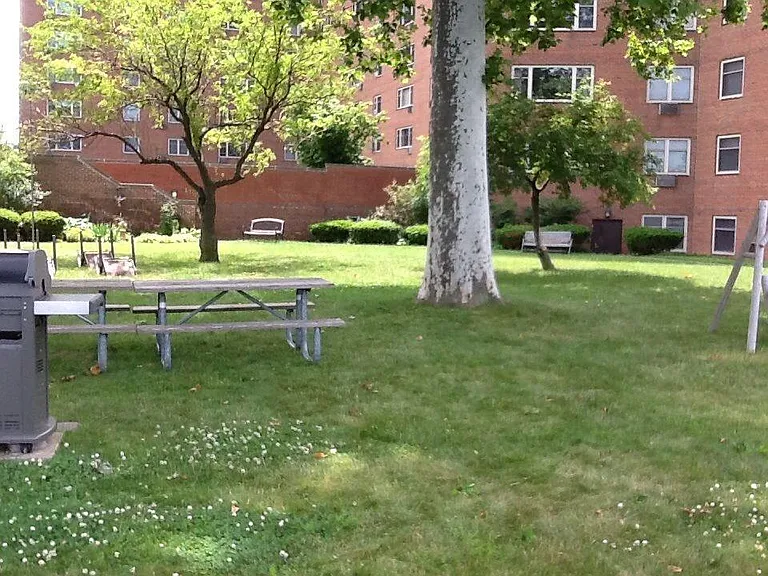 Backyard Area