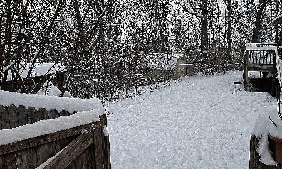 Winter view of yard