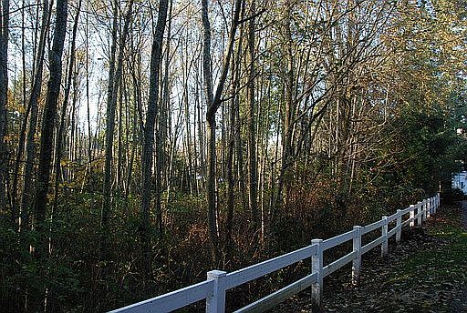 Green  Belt view Patio