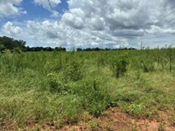 0 Highway 85 Tract #B, Daleville, AL 36322