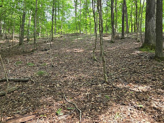3rd image of LOT 81 Periwinkle Hill Rd