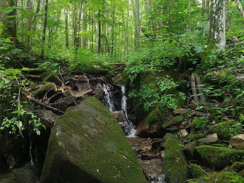2nd image of 0 Trillium Branch Dr
