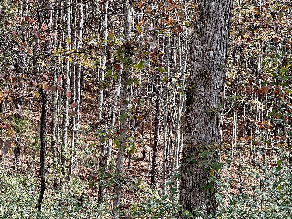 1st image of 0 Lower Rockwood Rd
