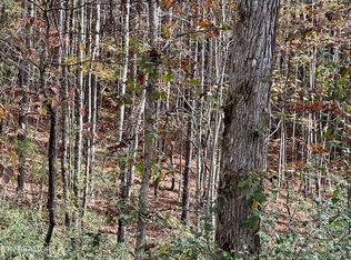 0 Lower Rockwood Rd LOT 24, Rockwood, TN 37854