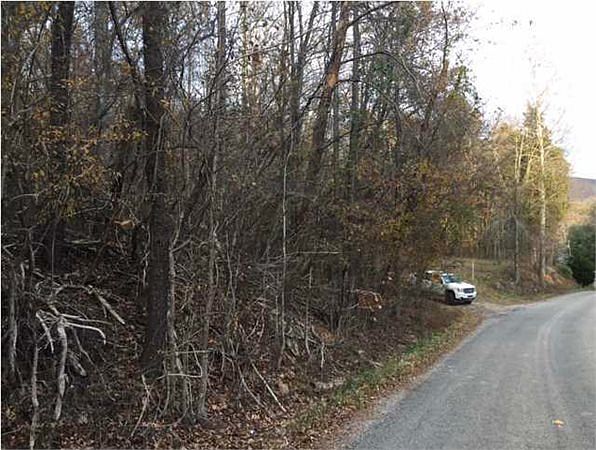2nd image of Mullins Cove Rd