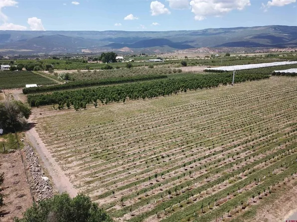 Lot 2 NW Cedar Avenue, Cedaredge, CO 81413