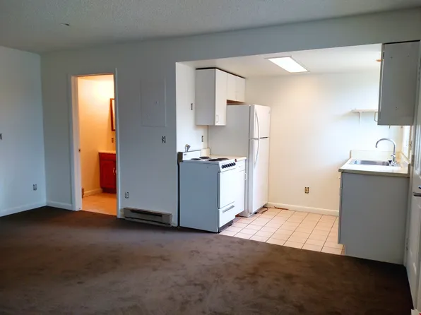 960, 960 Confluence Ct #5, Steamboat Springs, CO 80487