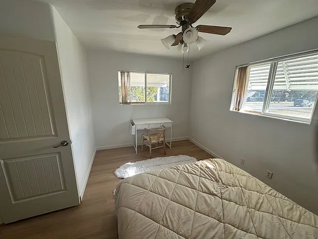 Bright, spacious bedroom with large windows, ceiling fan, and ample natural light