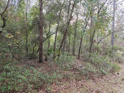 0 SW 152nd Pl, Dunnellon, FL, 34432
