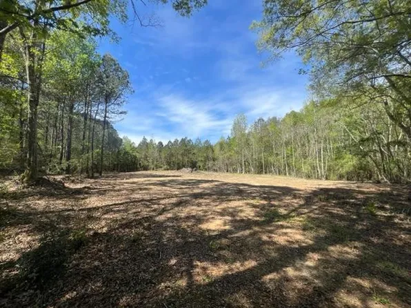 0 Roosevelt Magee Rd, Tylertown, MS 39667