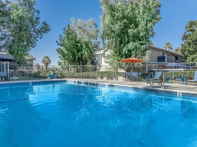 Pine Village Apartments — Photo 6