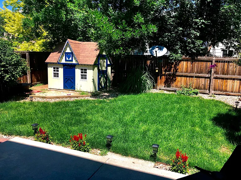 Charming dollhouse shed