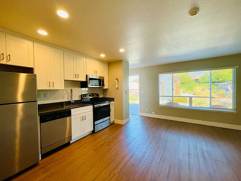 1x1 540 SqFt -Kitchen / Living Room
