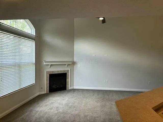 6284 Hudson Reserve Way — Photo 6