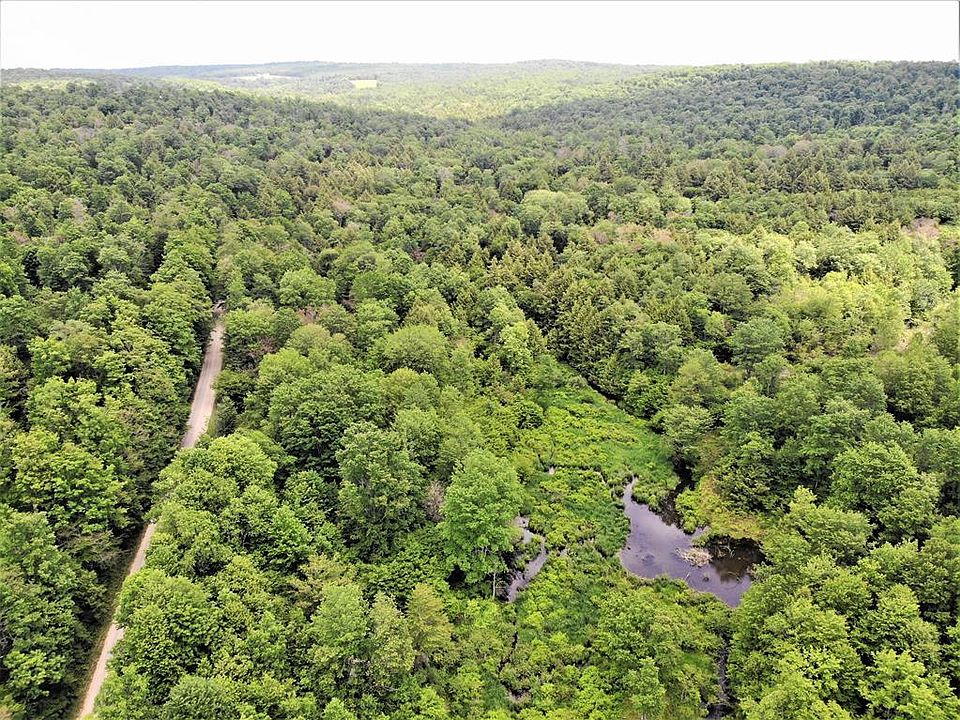 0 Windfall Rd, Genesee, PA 16923 MLS 31716807 Zillow