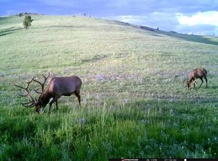 Alice Indian Creek Rd, Townsend, MT 59644