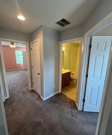 10266 Ibis Dr — Photo 10